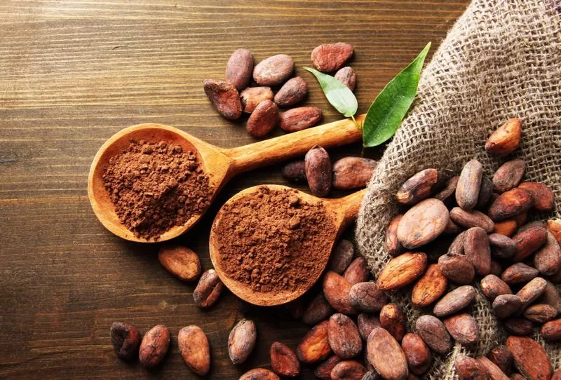 Cocoa Market Is Estimated To Witness High Growth Owing To Increasing Consumption of Cocoa-based Products and Rising Demand for Natural Ingredients in the Food Industry