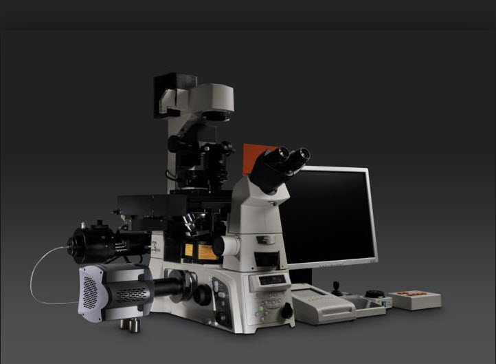 Optical Microscopes Market: Expanding Applications Drive Growth