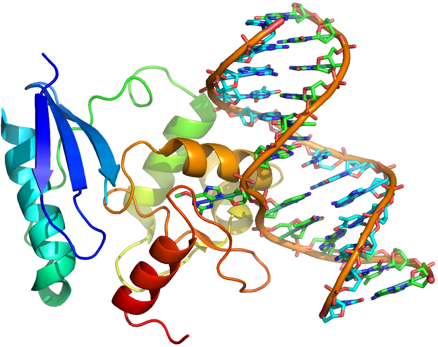 Ribonucleic Acid (RNA) Markers Market
