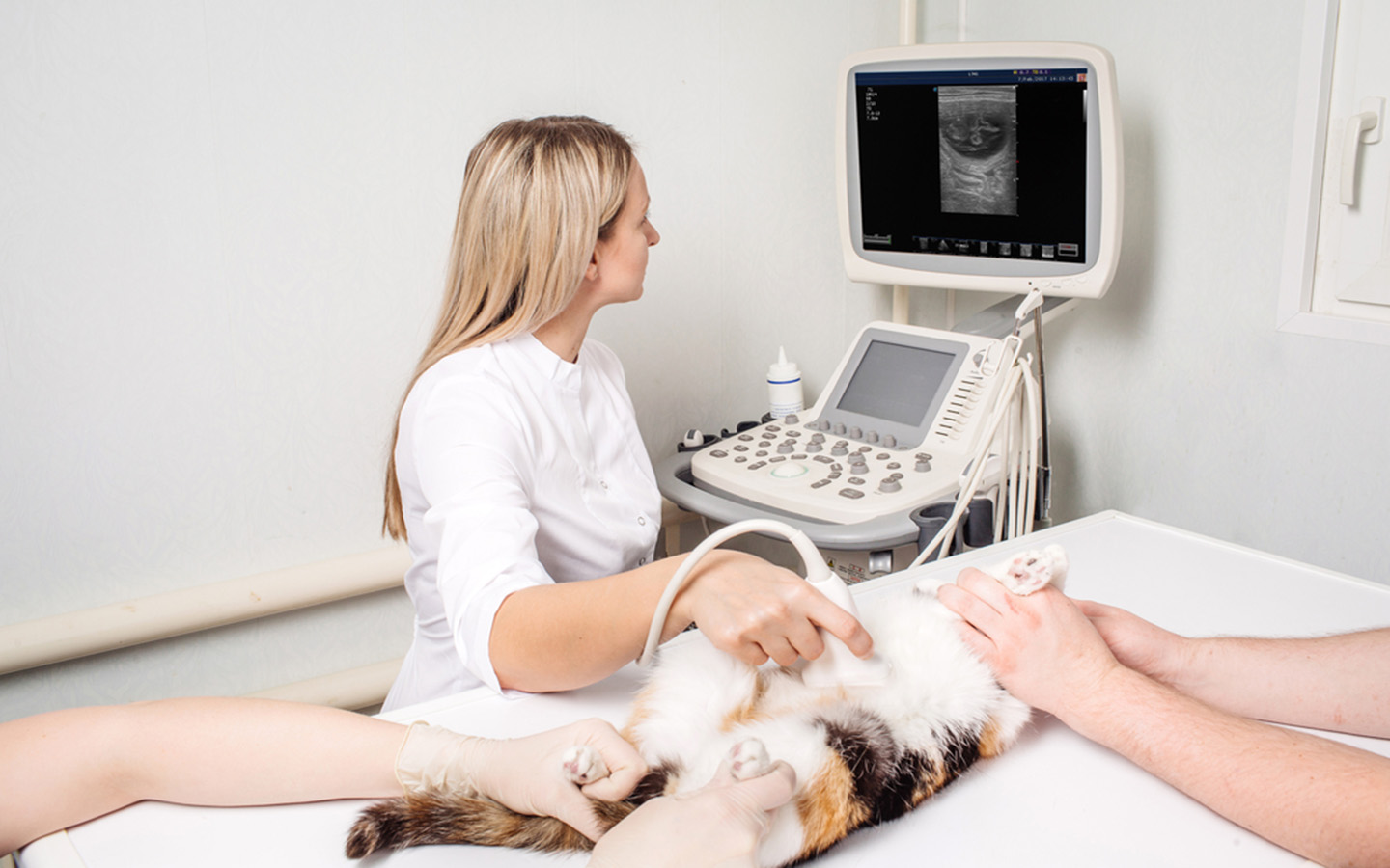Veterinary Diagnostic Imaging Market: Advanced Imaging Technologies to Drive Growth
