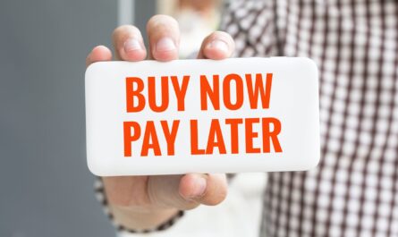 Mena And Cis Buy Now Pay Later Platform Market