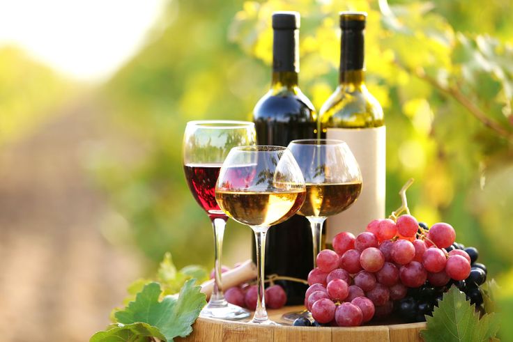 Wine Market Is Estimated To Witness High Growth Owing To Increasing Consumer Preference for Wine