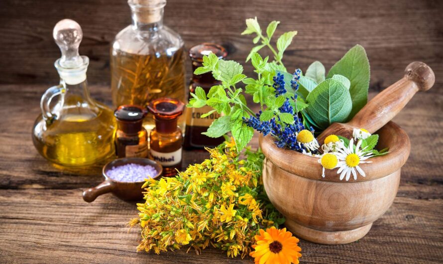 Herbal Medicinal Products Market Growing Demand