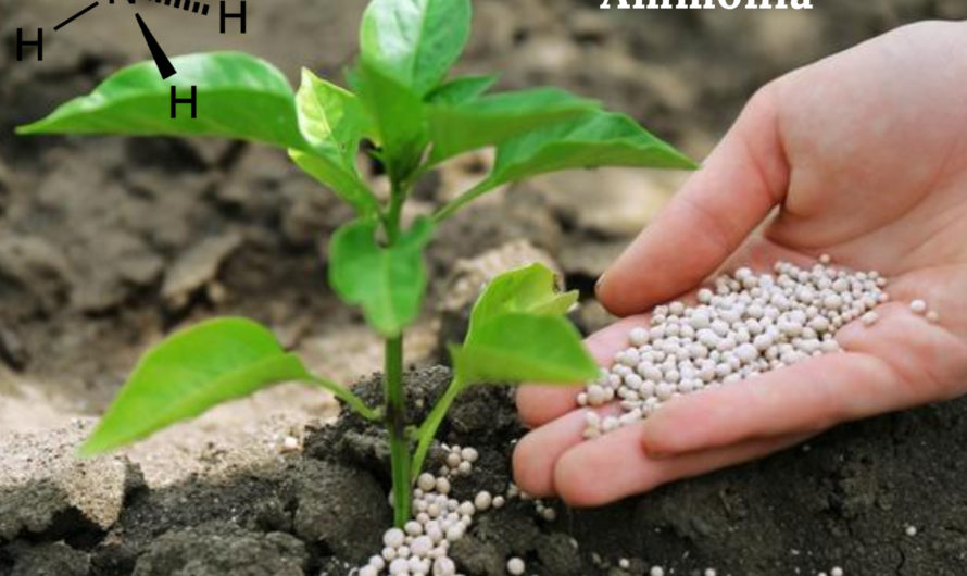 The Australia Ammonia Market driven by fertilizer production is expected to exhibit robust growth