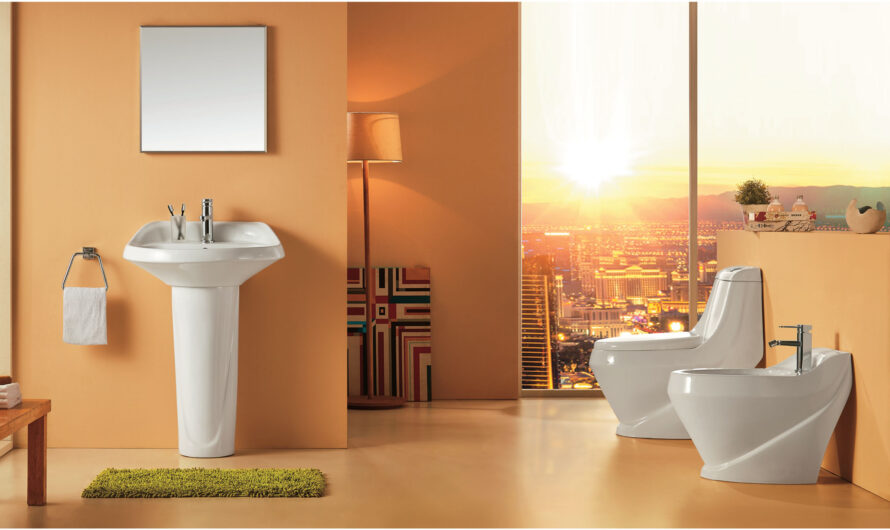 Indian Ceramic Sanitaryware Market Products Are Revolutionizing The Indian Bathroom Industry
