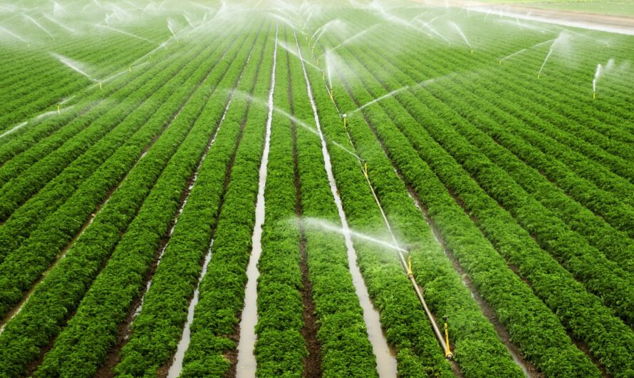 The Expanding MENA Drip Irrigation System Market Is Driven By Growing Need For Efficient Water Utilization