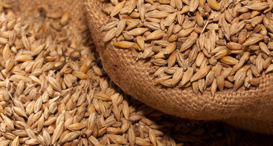 Propelled by rising demand for alcoholic beverages, Malted Barley Market to exhibit robust growth