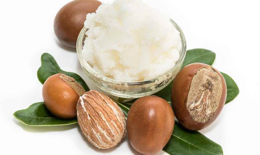 Cosmetic Segment Is The Largest Segment Driving The Growth Of The Global Shea Butter Market