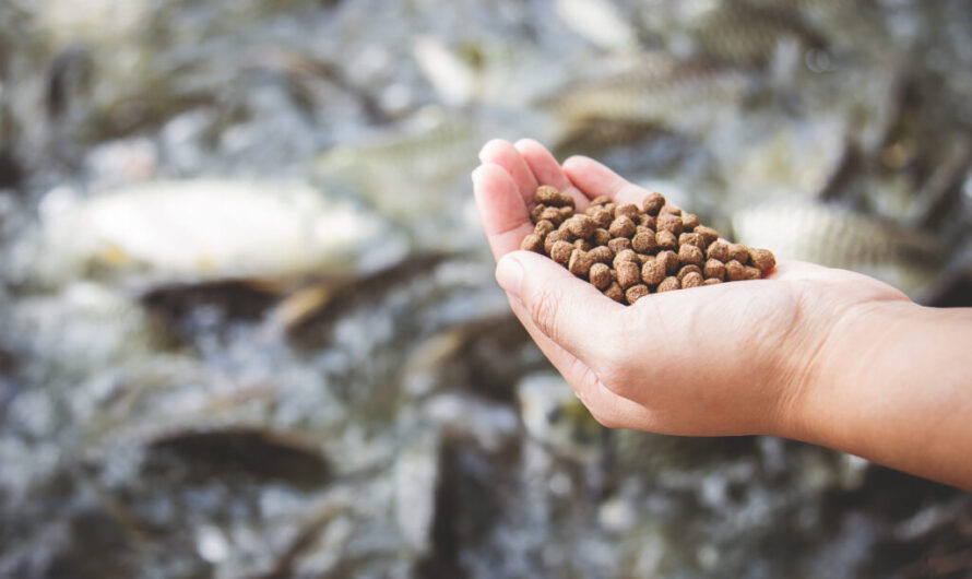 Aquafeed Market Growth Accelerated by Rising Aquaculture Industry