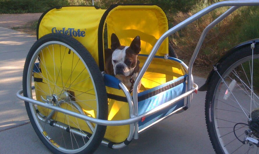 Dog Bicycle Trailer Market is driven by increasing pet ownership and humanisation of pets