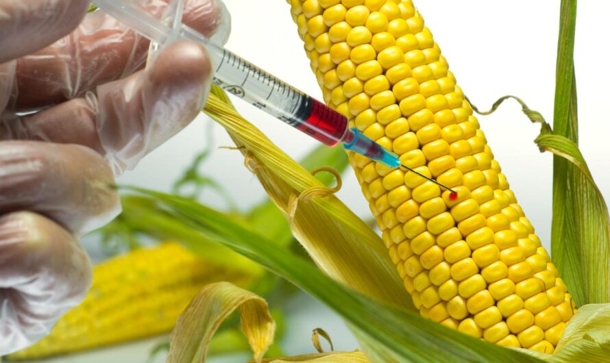 Genetically Modified Crops Market is Expected to Flourish by Rising Demand for GM Food for Developing Nutritious Varieties