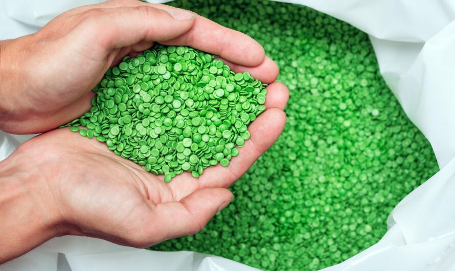 The Green Polymer Market Propelled by Growing Adoption of Biodegradable Plastics