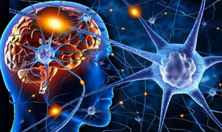The Neuroplasticity Market is Expected to be Flourished by Promising Advancements in Neurotechnology