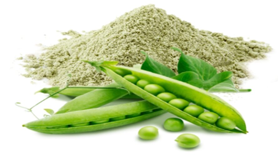 Pea Protein Market is Expected to be Flourished by Rising Demand for Plant-Based Products