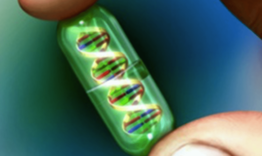Personalized Genomics is Expected to be Flourished by Self-diagnosis and Prevention of Diseases