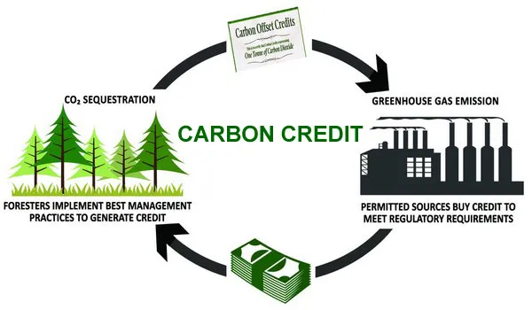 Increasing Adoption Of Clean Technologies Is Anticipated To Openup The New Avenue For Singapore Carbon Credit Market