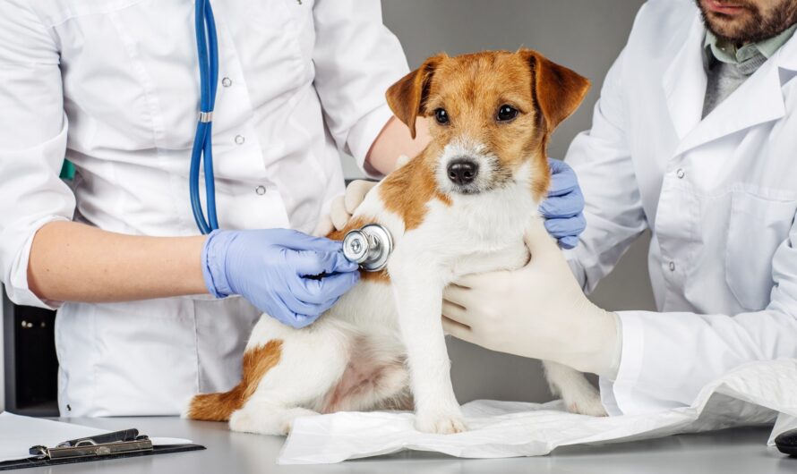 Veterinary Services Market Driven By Rising Pet Ownership Is Estimated To Reach US$ 183.2 Billion By 2023