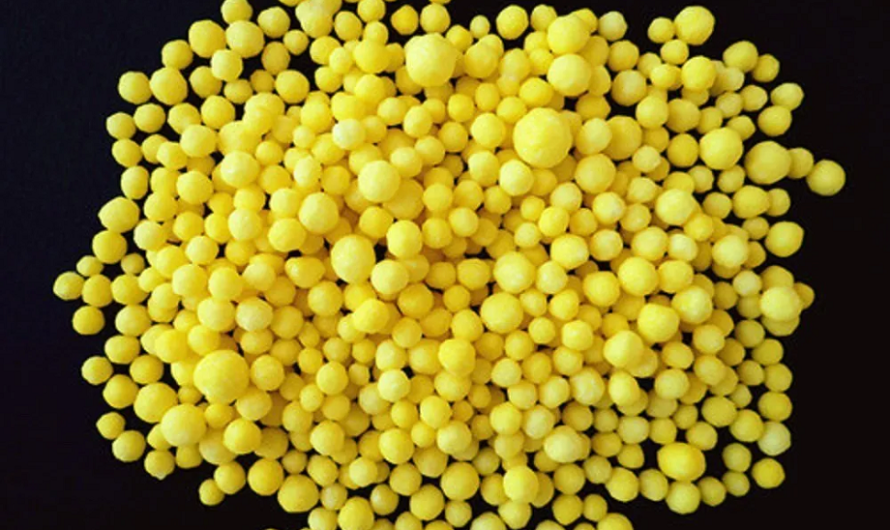 Sulfur Coated Urea Market is driven by Increasing Adoption in Agriculture and Turf Industry