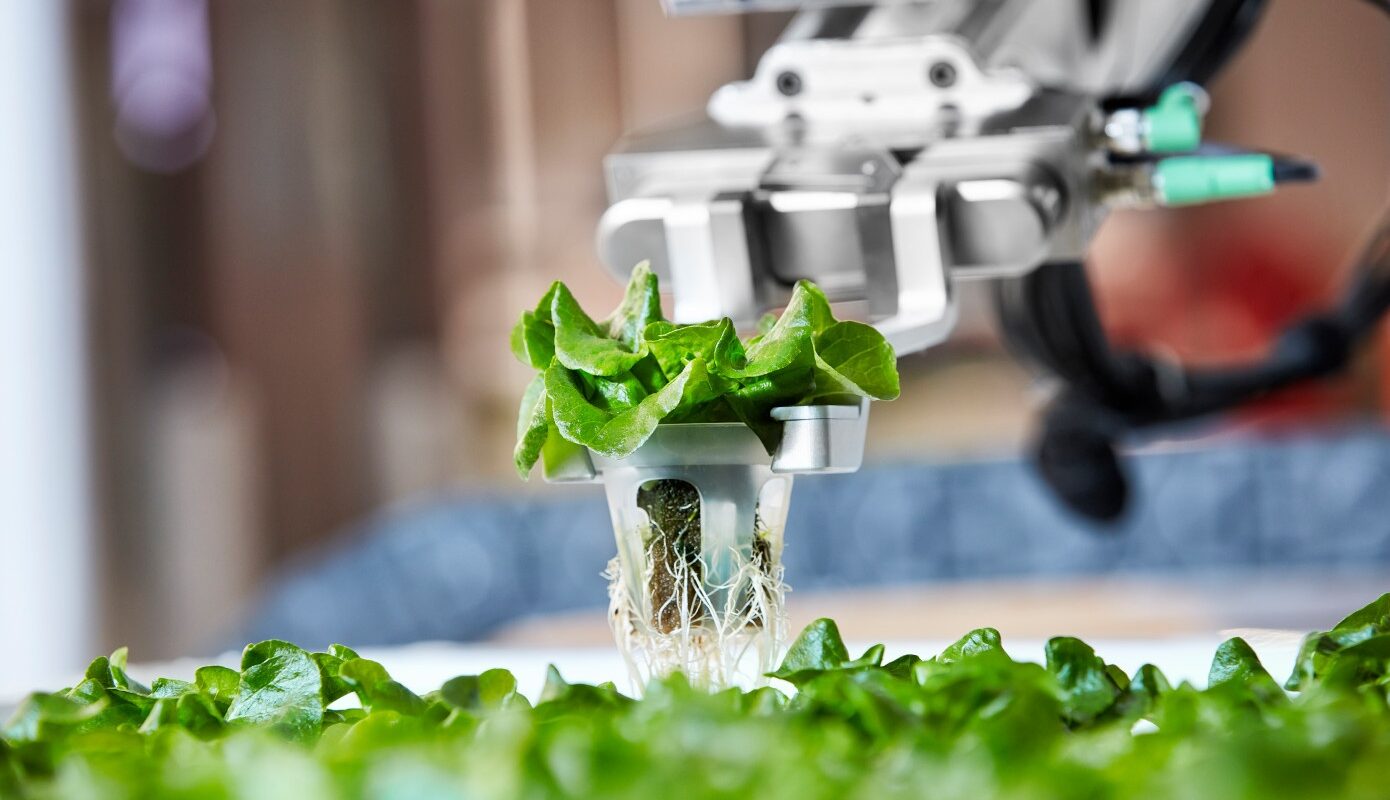 Autonomous Vegetable Weeding Robots