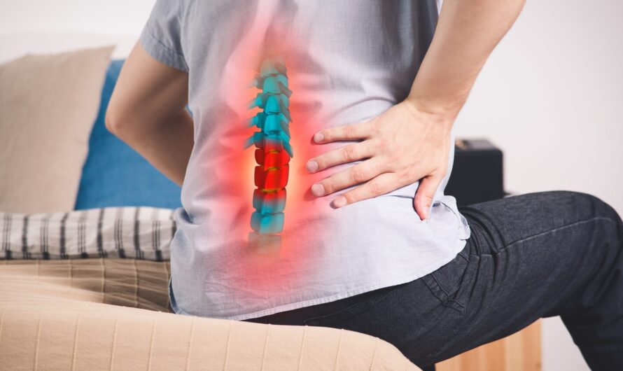 Spinal Cord Injury Therapeutics Market is Driven by Increasing Cases of Road Accidents