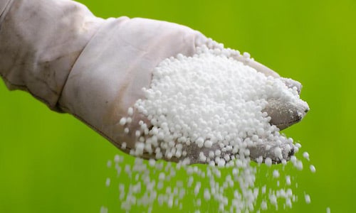 Sulfur Coated Urea Market Analysis: Trends, Growth Drivers, and Forecast
