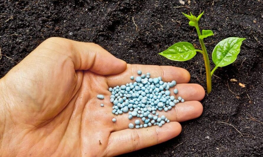 Humic Acid Market to Witness Robust Growth owing to Increasing Application in Agriculture Industry