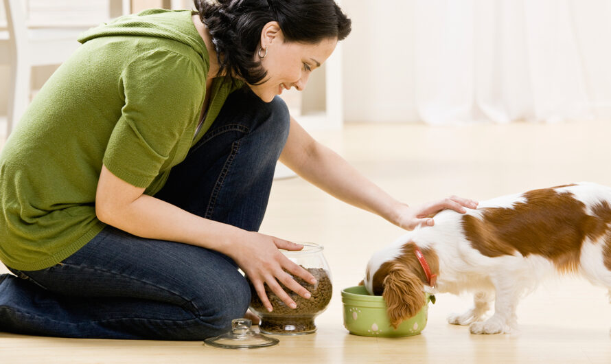 Ensuring Your Pet’s Well-Being with the Right Pet Care Products