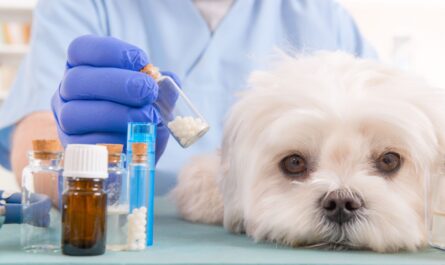 Veterinary Drugs Compounding