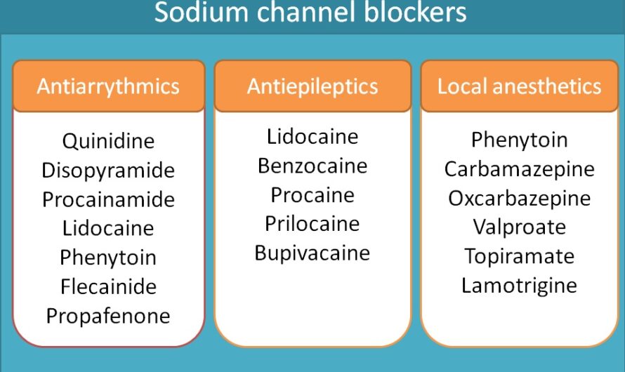 Global Sodium Channel Blockers Is in Trends by Increasing Prevalence of Chronic Pain