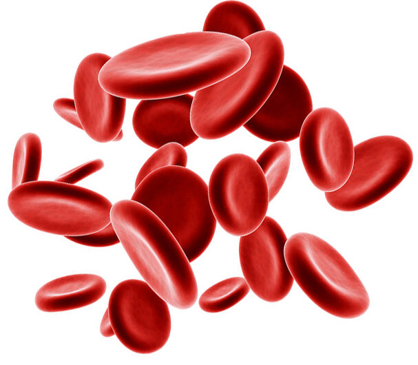 Iron Deficiency Anemia Treatment Market is Estimated to Witness High Growth Owing to Rising Prevalence of Iron Deficiency Anemia