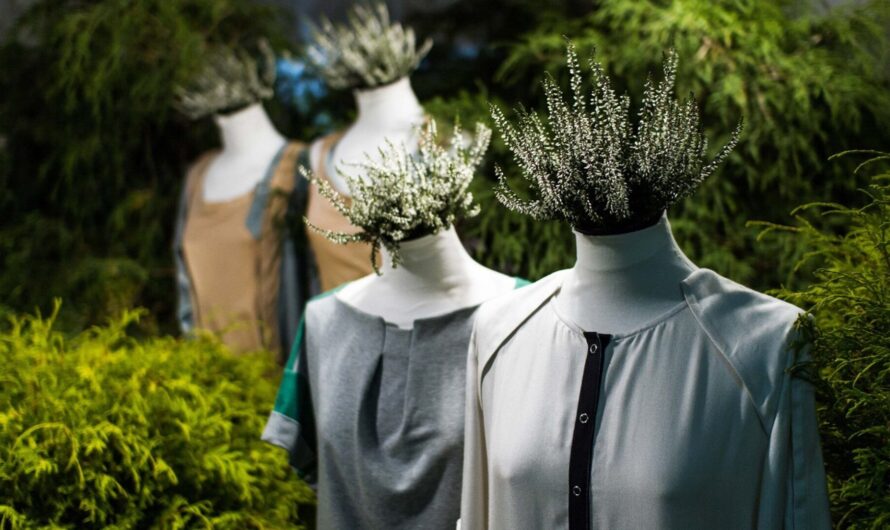 Global Sustainable Fashion Market Poised to Grow at Significant Rate owing to Rising Environmental Concerns