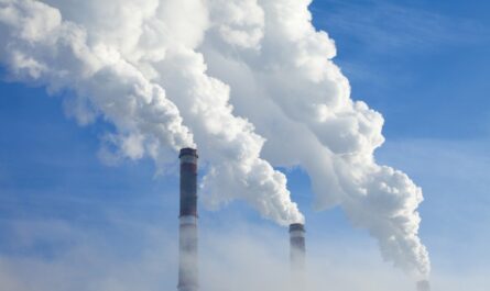 Carbon Dioxide Utilization Market