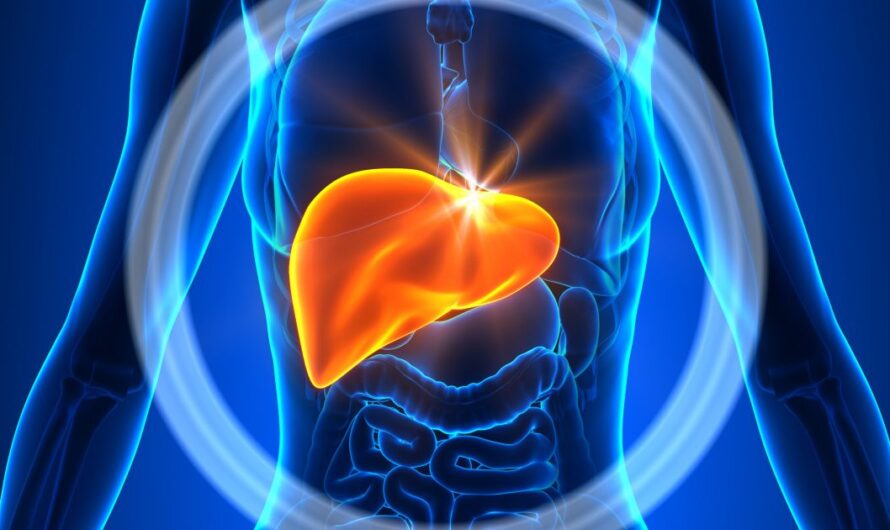 Liver Detox Market set to Witness Increased Adoption Driven by Growing Awareness on Liver Health