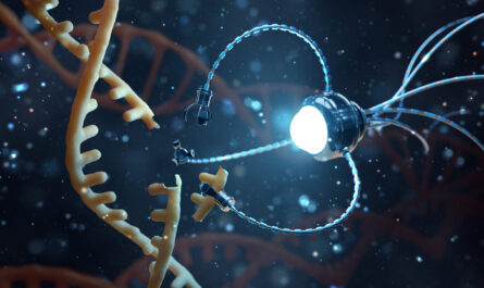 DNA Nanotechnology Market