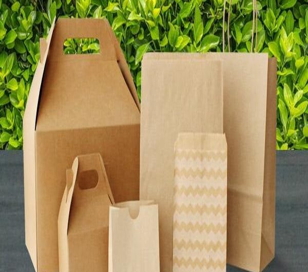 Disappearing Packaging: Exploring the Potential of More Sustainable Product Delivery Methods A Look Ahead