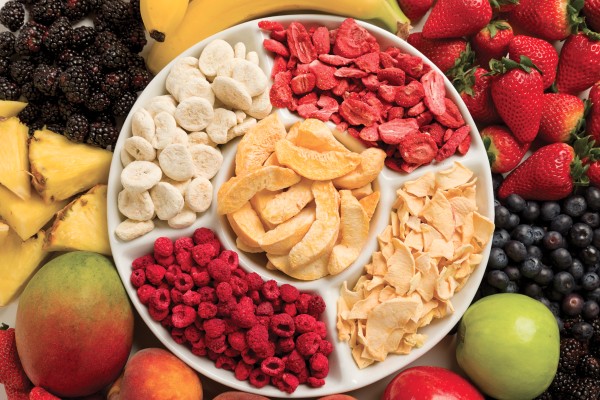 Dried Food Market Poised to Grow Significantly Amid Advancing Freeze-Drying Technologies