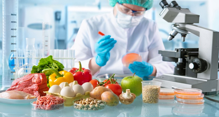 Food Safety Products and Testing: Ensuring Safe and Healthy Food for All