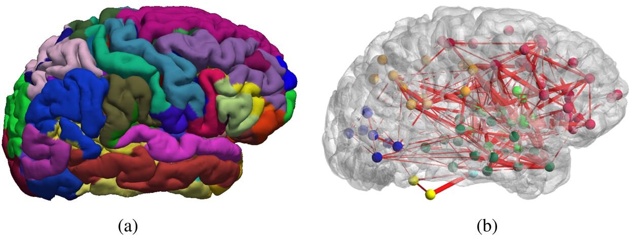 Functioning Brain Networks