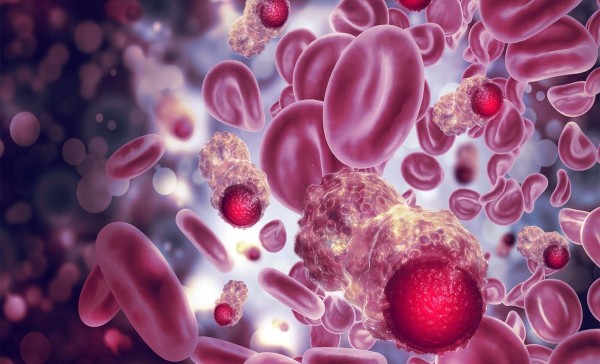 Hematology: Understanding Blood and its Disorders