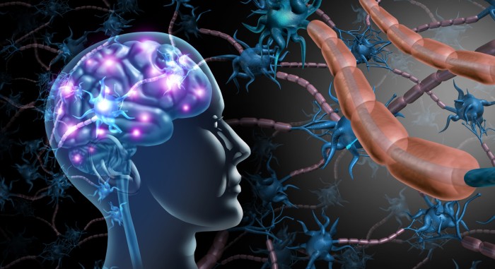 Neurodegenerative Disease Treatment: Current and Future Therapies