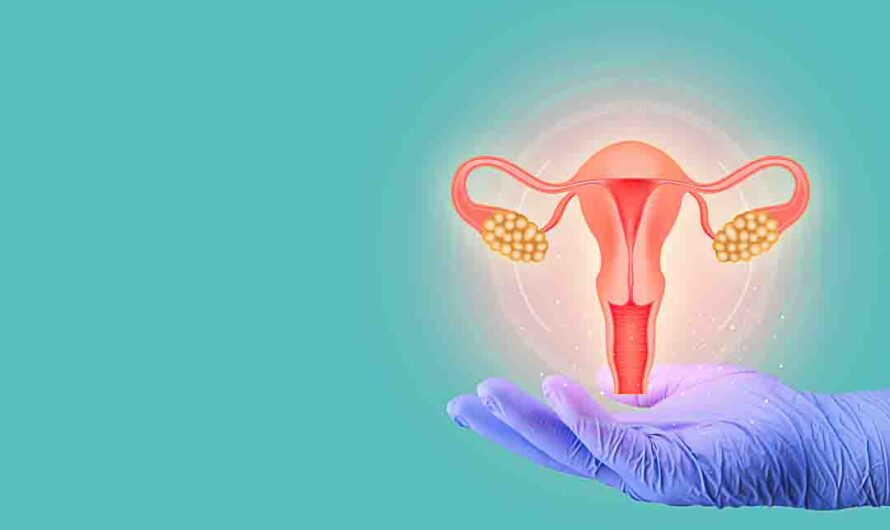 Uterine Fibroids Treatment Drugs Market Witness High Growth due to Rising Demand for Minimally Invasive Procedures