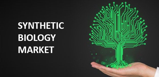 Synthetic Biology Market is Estimated to Witness High Growth Owing to Advancements in Gene Editing Technologies