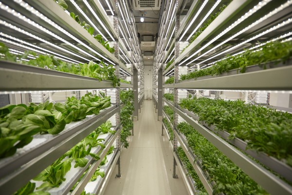 Vertical Farming Market is Trends by Increase in Investment in Vertical Farming Technology