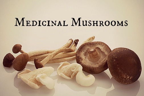 Global Medicinal Mushroom Market is Estimated to Witness High Growth Owing to Increasing Adoption in Therapeutics