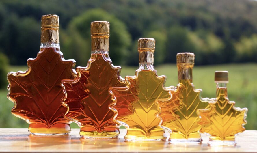 Maple Water Market is Transforming the Beverage Industry Trends by Sustainability and Healthy Lifestyle