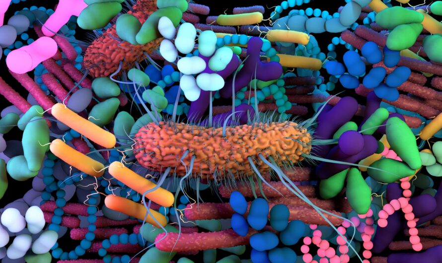 Uncovering New Ground in Nutrition: Microbiome-Informed Precision Approaches