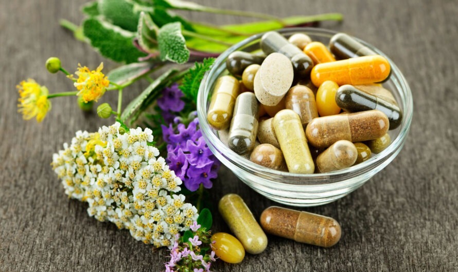 Prebiotics For Dietary Supplements Market Growth Boosted by Emerging Wellness and Preventive Healthcare Needs